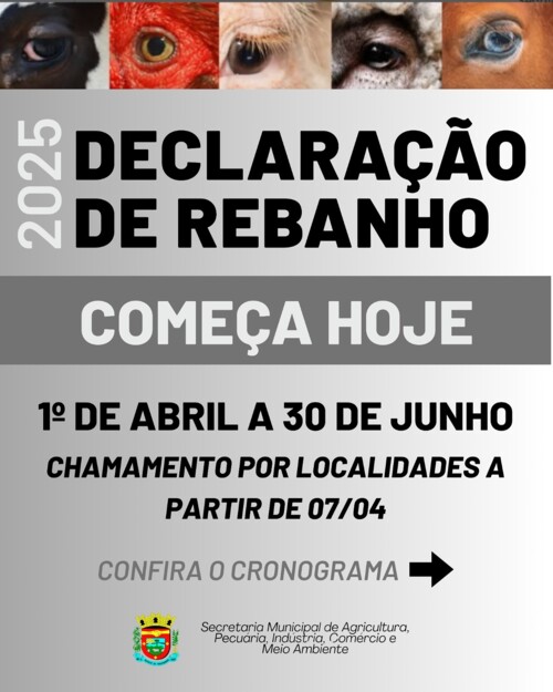 Fotos